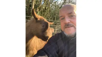 Raisin, one of David Porterfield’s six Golden Guernsey Goats