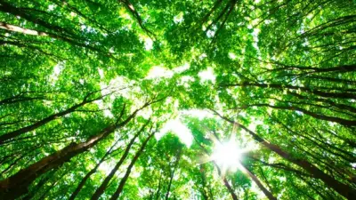 Bosch: Putting sustainability at the heart of what we do